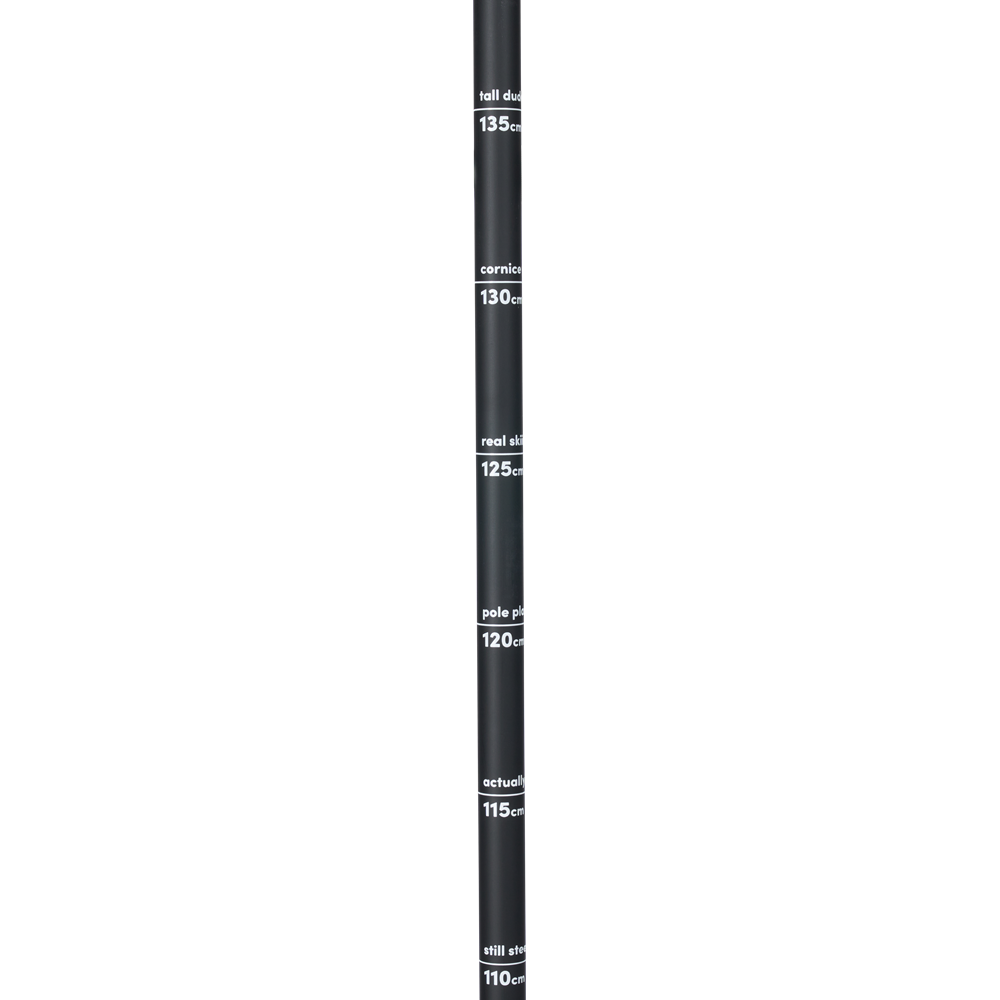LINE POLE - VISION