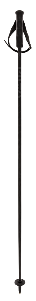 SPEEDSTICK CARBON POLES