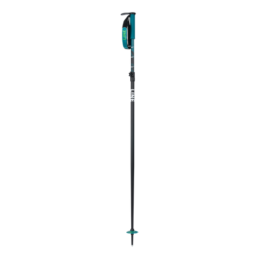LINE POLE - PAINTBRUSH