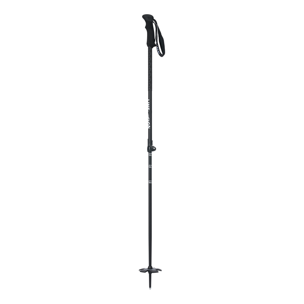 LINE POLE - VISION